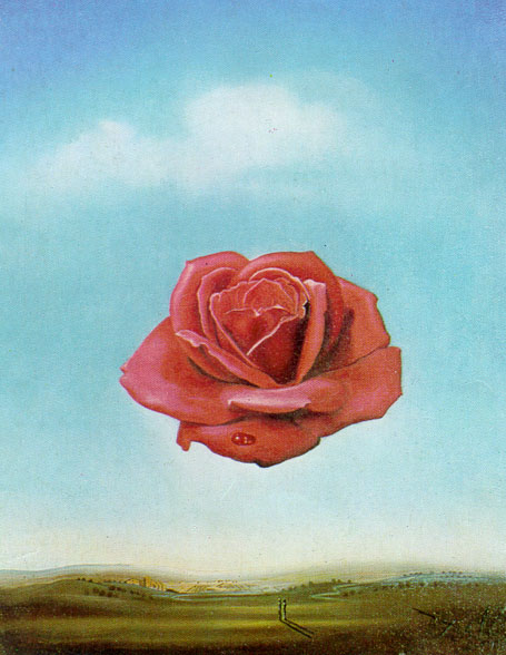 Dali: Meditativ Rose